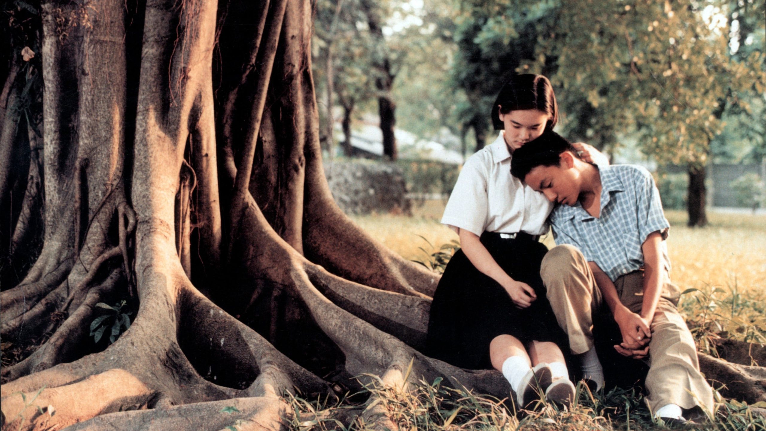 A Brighter Summer Day : avis à la verticale de l’été