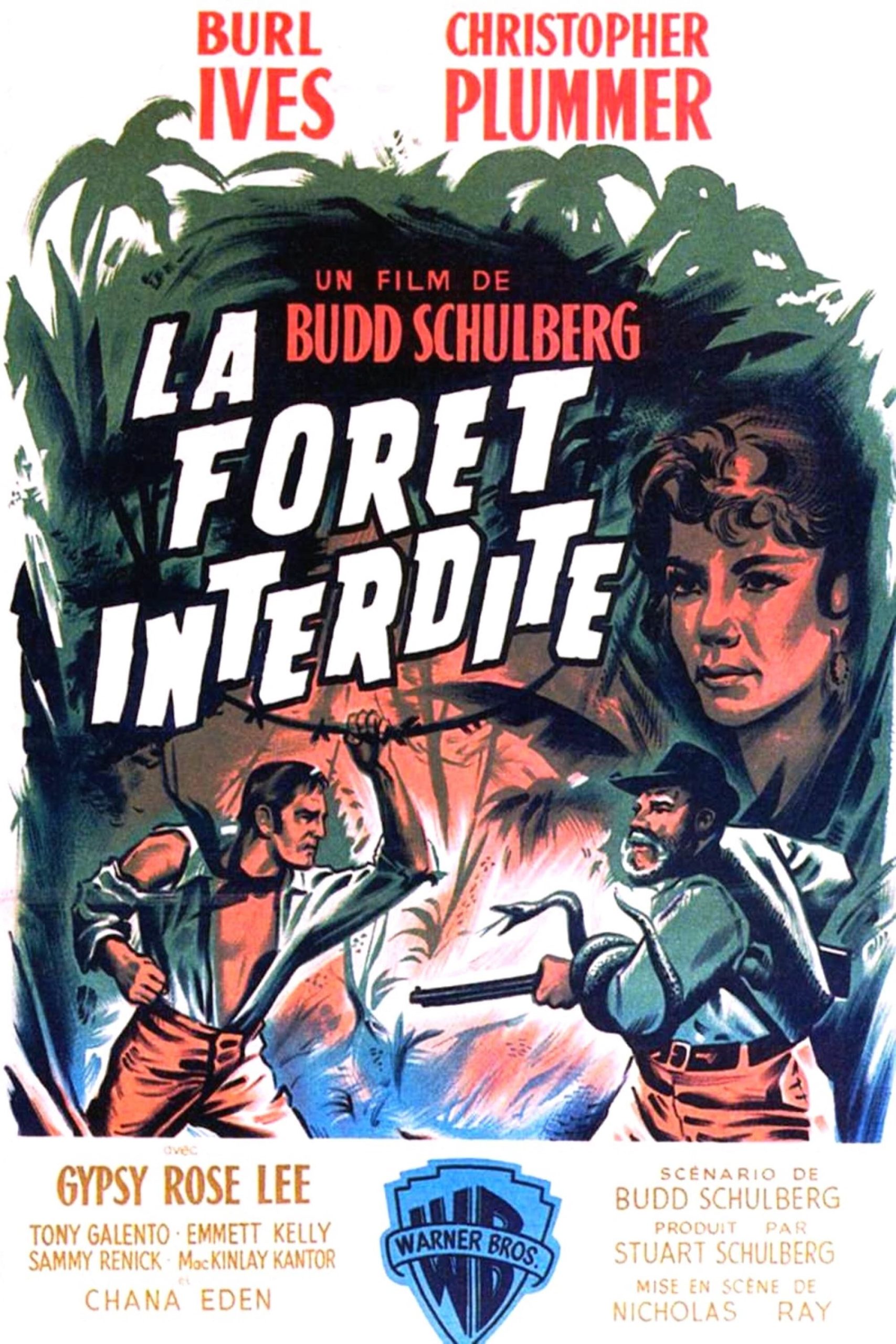 La Forêt interdite : avis sur le paradis perdu