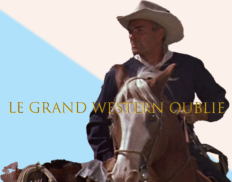 Sept Hommes à abattre : avis sur un immense western oublié