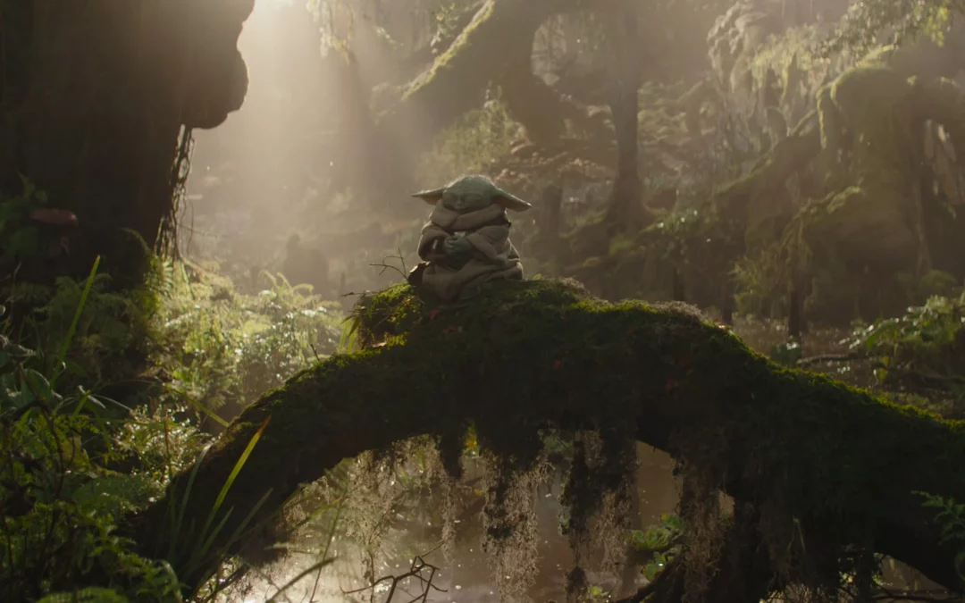 Box-office français du 27 mai au 2 juin 2026 : petit triomphe pour Grogu