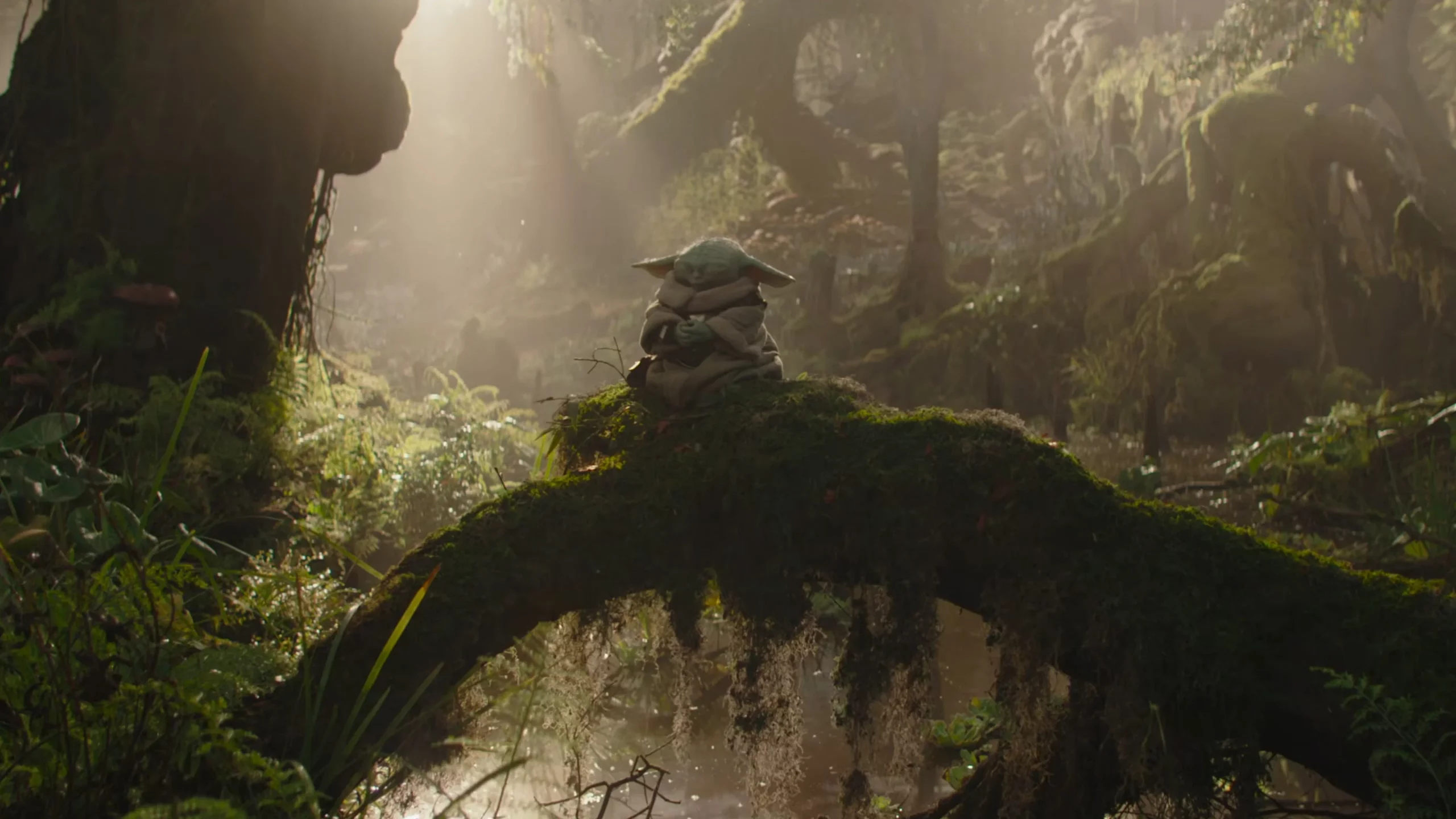 Box-office français du 27 mai au 2 juin 2026 : Grogu en tête